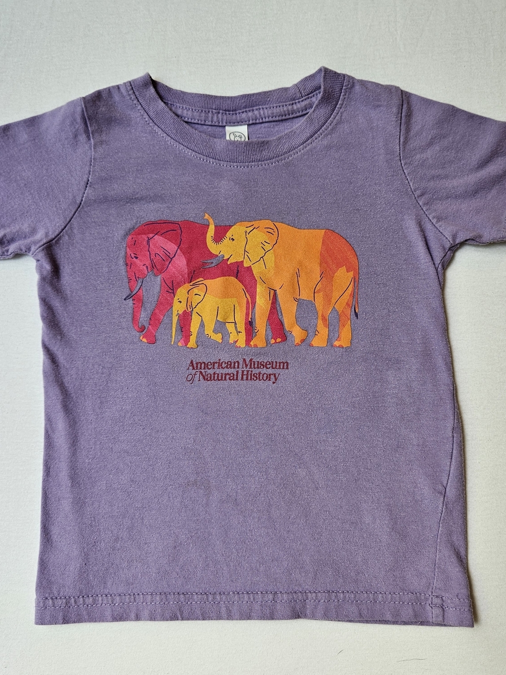 American Museum of Natural History Elephant Tee Size 2